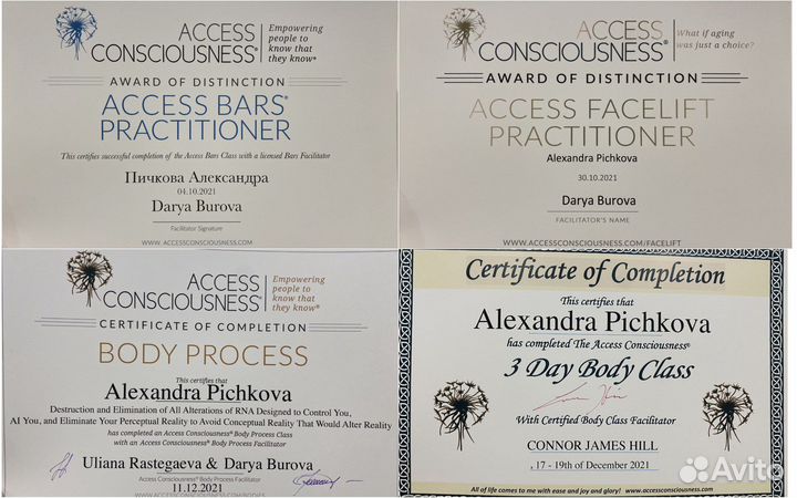 Сессии Access Bars, Аксесс Барс