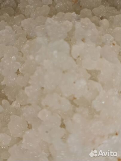 Индийский морской рис