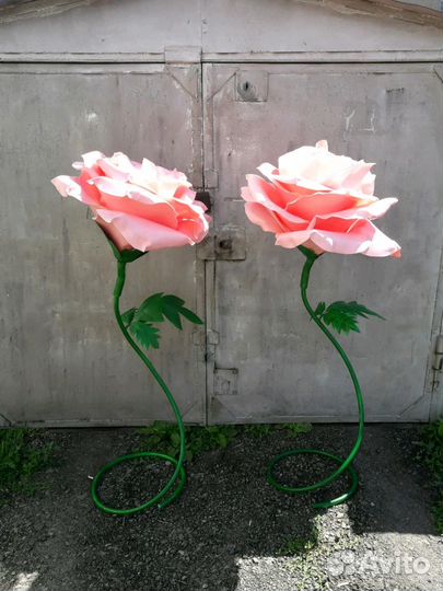 Ростовые цветы