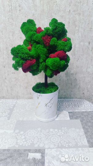 Дерево из стабилизированного мха