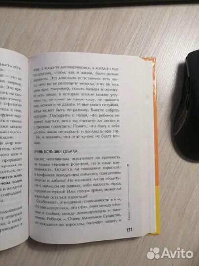 Людмила Петрановская.Тайная опора