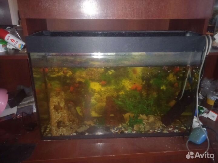Аквариум с рыбками