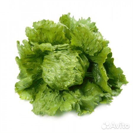 Семена Салата 