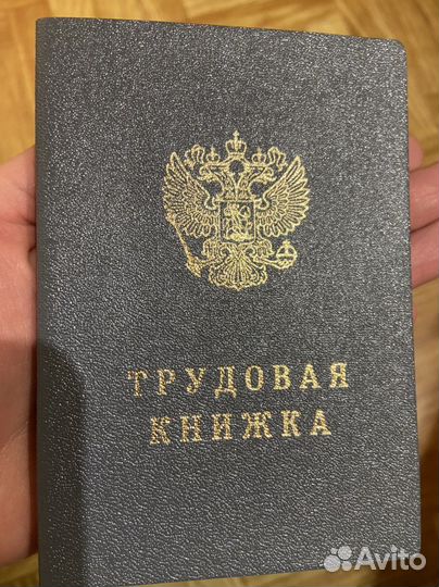 Трудовая книжка и вкладыш