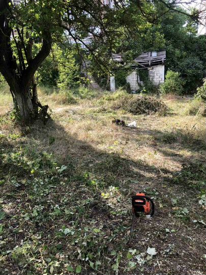 Участок 4,3 сот. (СНТ, ДНП)