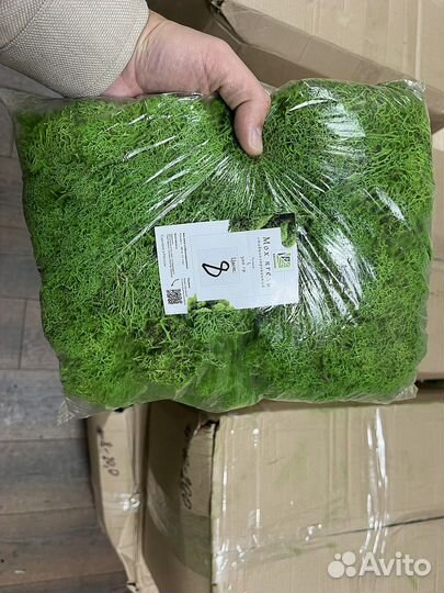 Стабилизированный мох, розница и опт, ягель