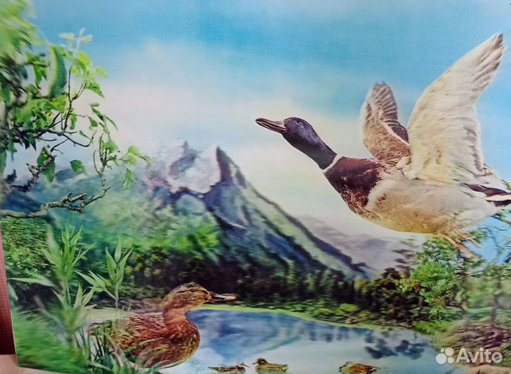 Винтажные стерео открытки, Япония 70- е гг