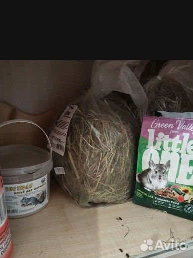 Витрина для шиншилл бу