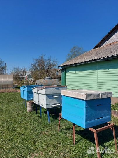 Домики для пчел