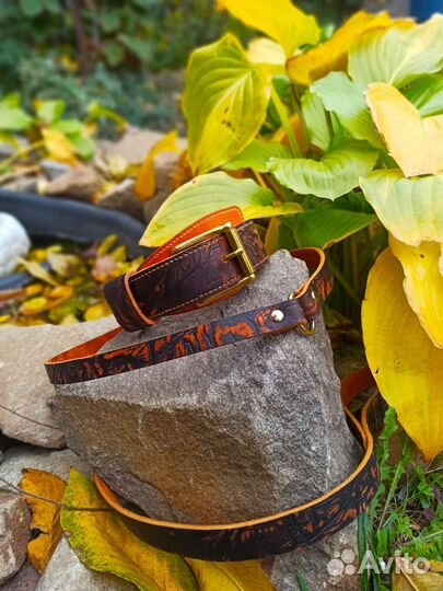Ошейник для собаки из натуральной кожи