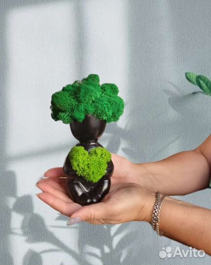 Стабилизированный мох - Экодизайн