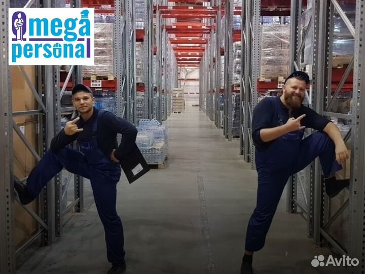 Грузчик на склад (Долгое Лёдово)