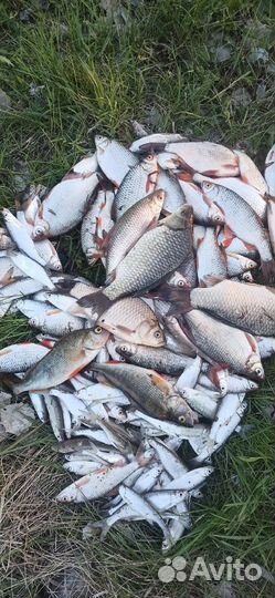 Грузчик разнорабочий