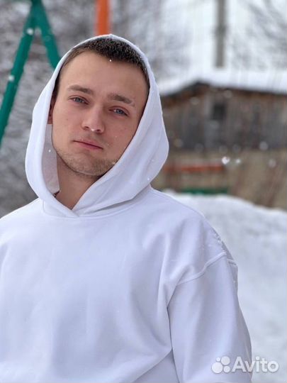 Помощник и товарищ