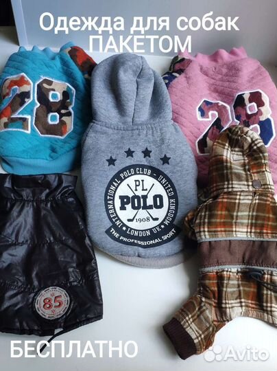 Одежда для собак мелких пород пакетом
