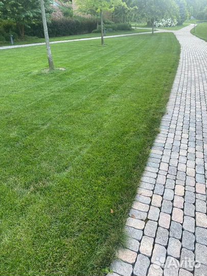Элитный Рулонный газон