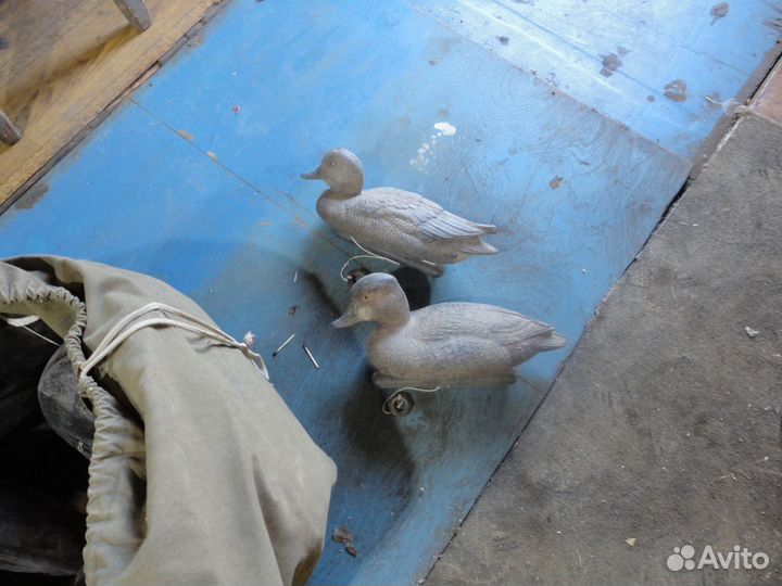 Чучела уток