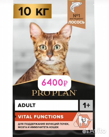 Корм для кошек