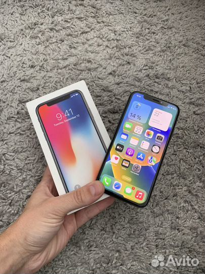 iPhone X 256GB