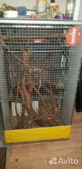 Шкаф для грызунов(белка и др)