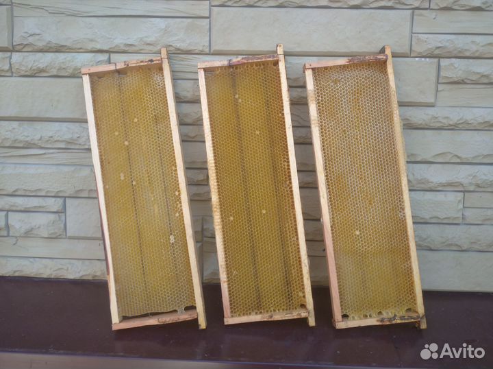 Сушь полурамка