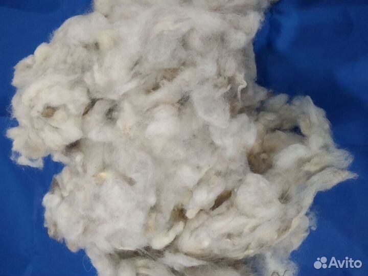 Продам овечью шерсть