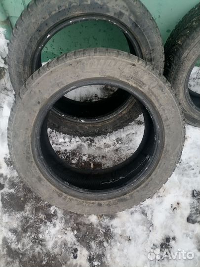Bridgestone Winter Radial 704 205/55 R16