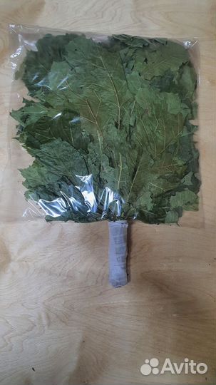 Веники дубовые, канадский дуб