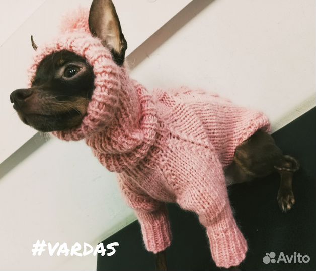 Свитер для собаки мелких пород