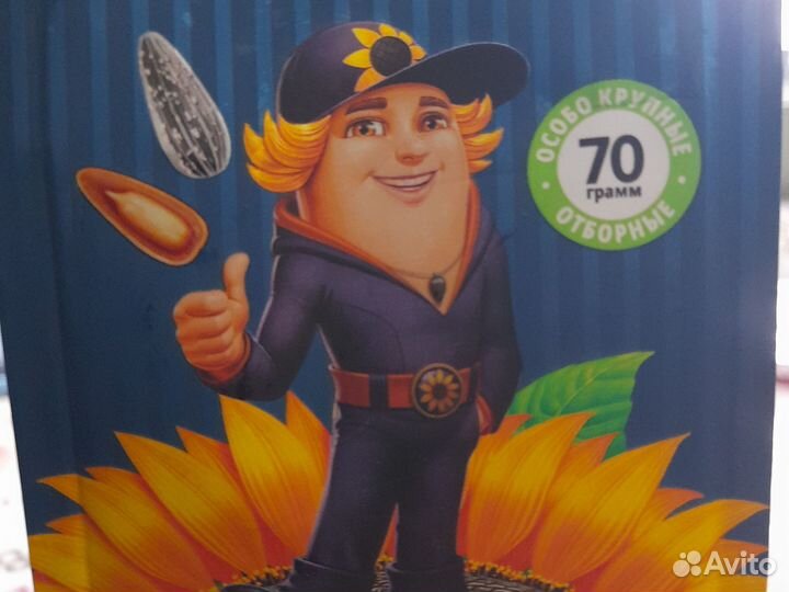 Семена люцерны сорт манычевский