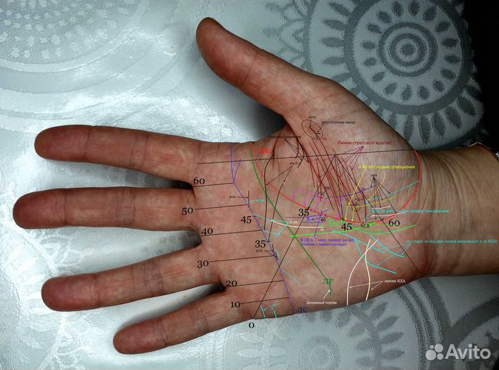 Хиромант, гадание по фото рук, онлайн, вижу всё
