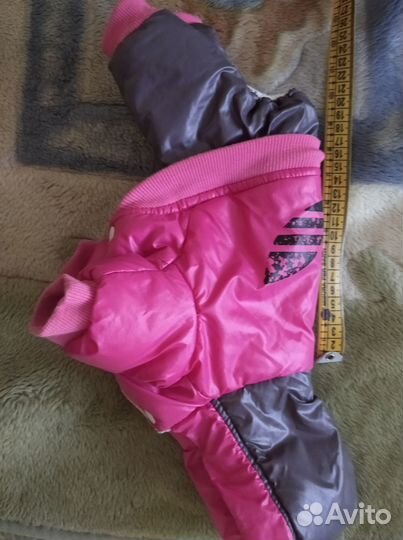 Одежда на маленькую собачку