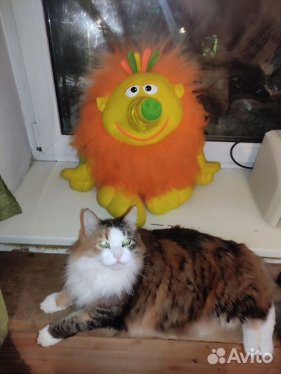 Игрушка Шуршунчик. Носатый мягкий друг