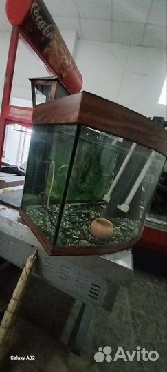 Аквариум