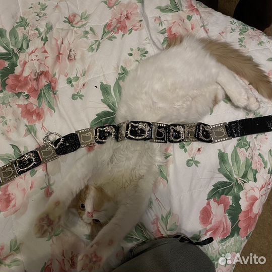 Ремень женский