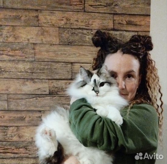 Котоняня