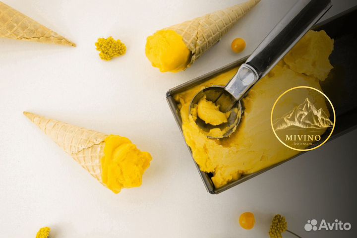 Франшиза сети алкогольного мороженого 