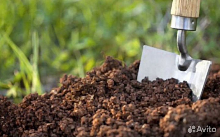 Торфогрунт