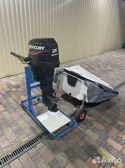 Mercury 25
