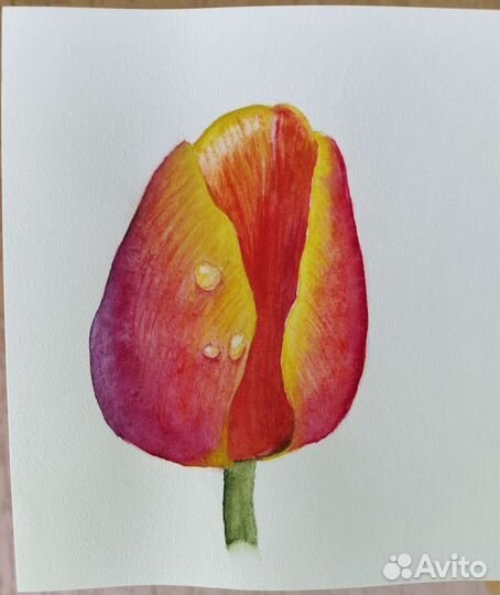 Акварельная работа 