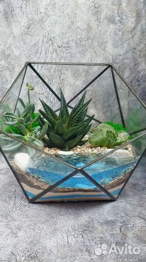 Флорариум с суккулентами и водоëмом