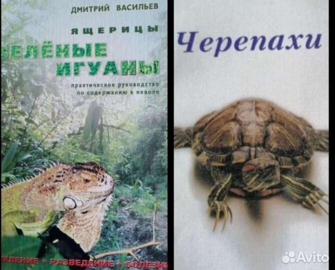 Ящерицы, зелёные игуаны, Васильев. Черепахи 2000г