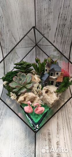 Флорариум, подарок, цветы