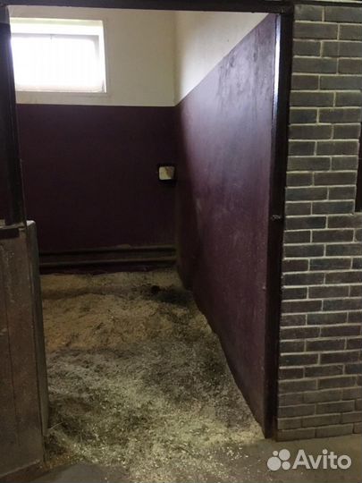 Конный клуб