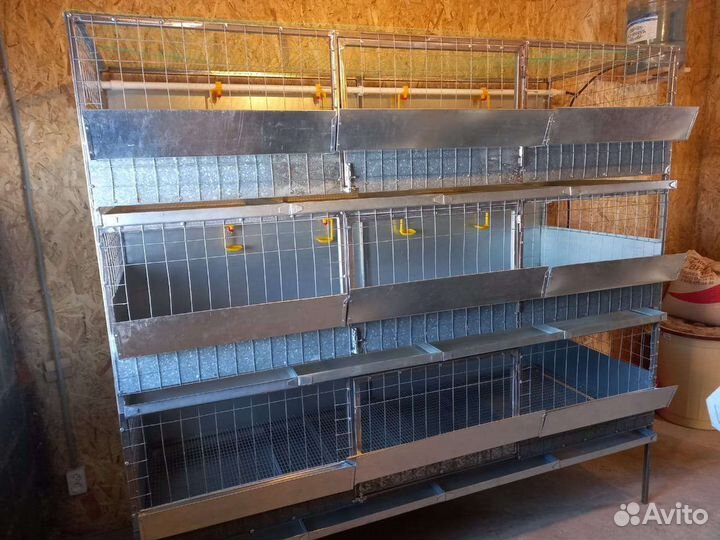 Клетка для кур, уток
