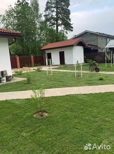 Рулонный газон