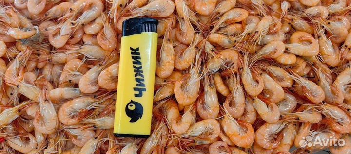 Креветка Усик Premium