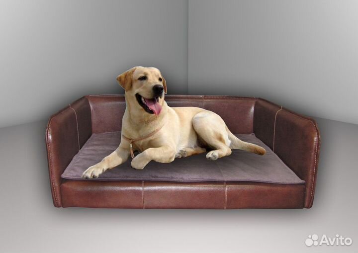 Диван для вашего питомца
