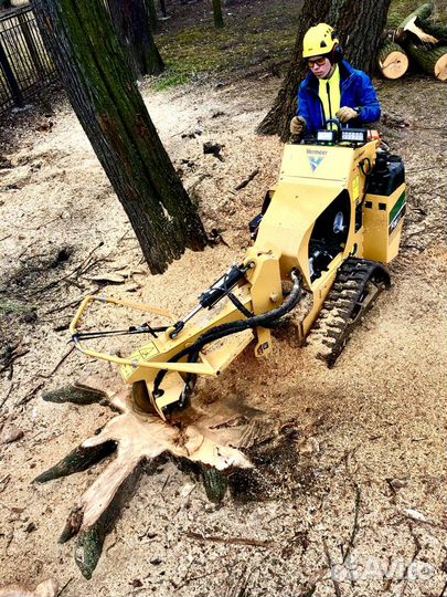 Удалить пень, корчевка пня, фрезеровка пней, пни