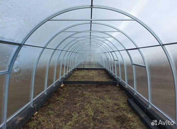 Теплица Крепыш